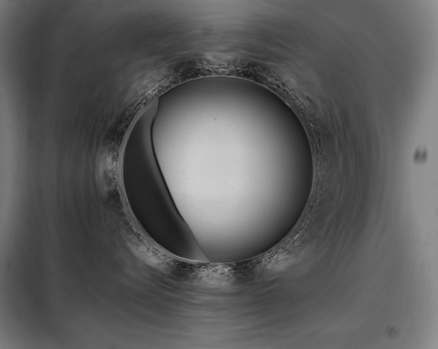 X0000098100576200804041247