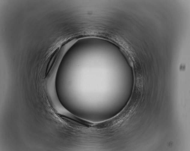 X0000098100577200804041246