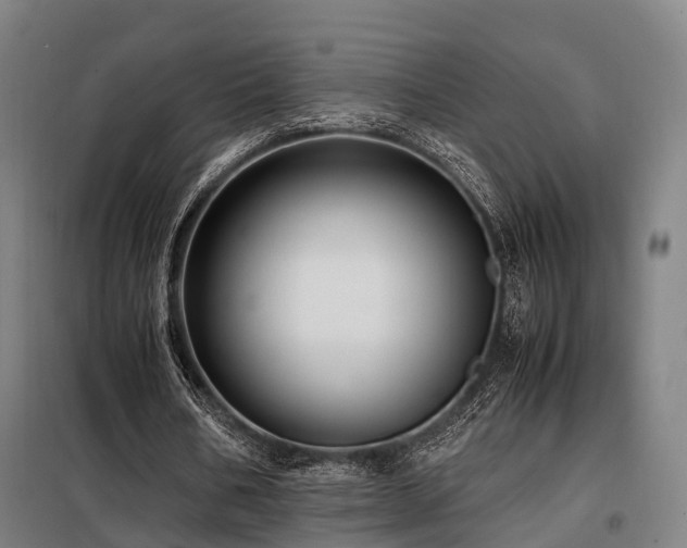 X0000098100578200804041246