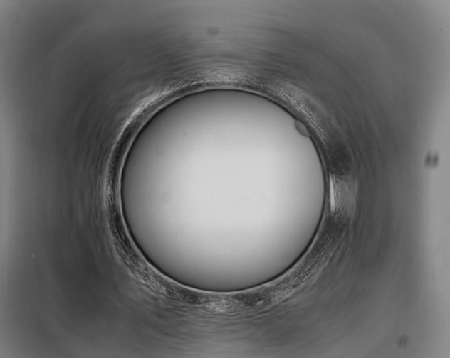 X0000098100579200804041246