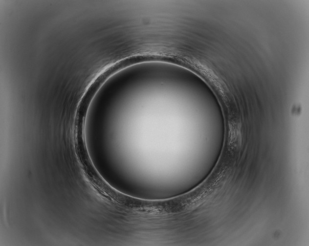 X0000098100580200804041246