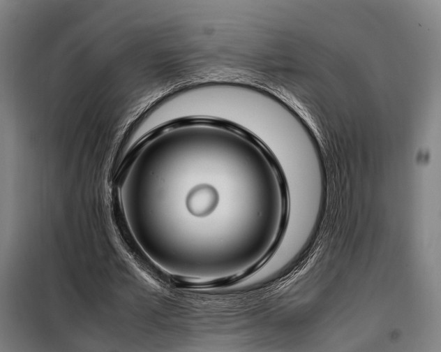 X0000098100581200804041246