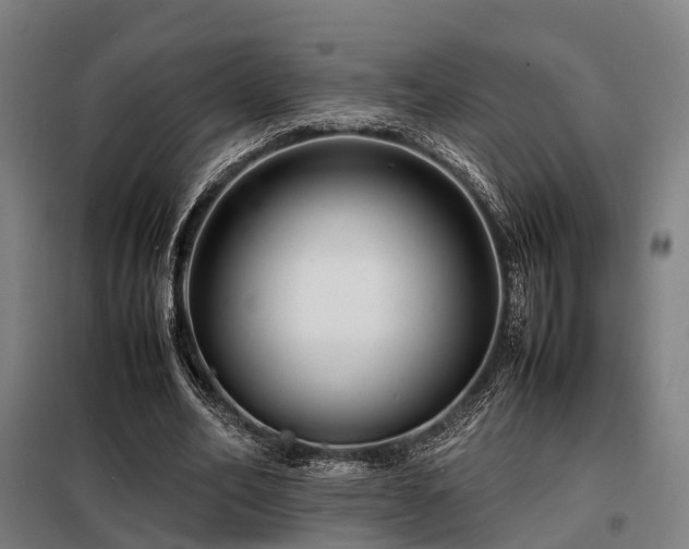 X0000098100582200804041246