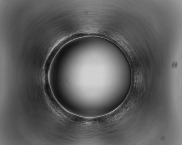 X0000098100584200804041246
