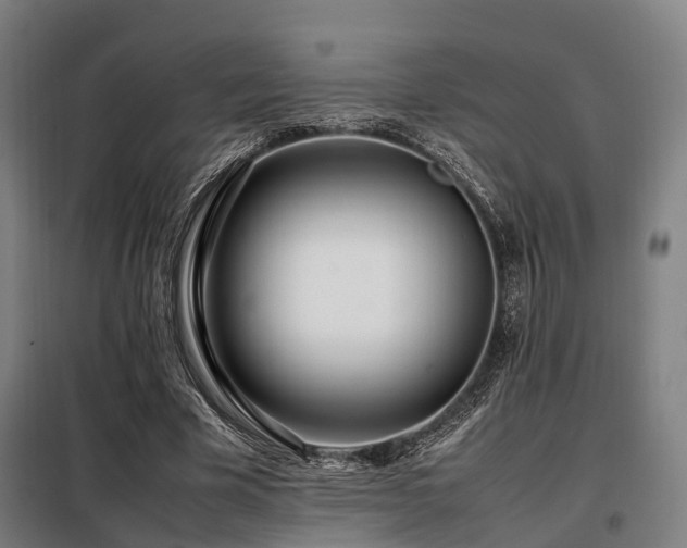 X0000098100585200804041246