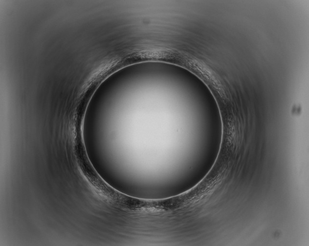 X0000098100586200804041246