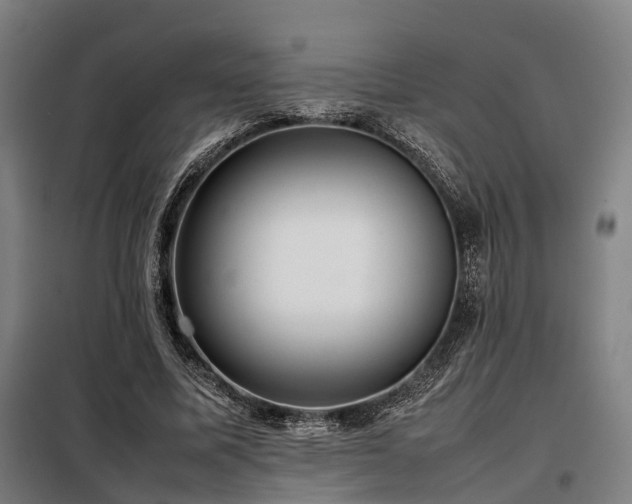 X0000098100587200804041246