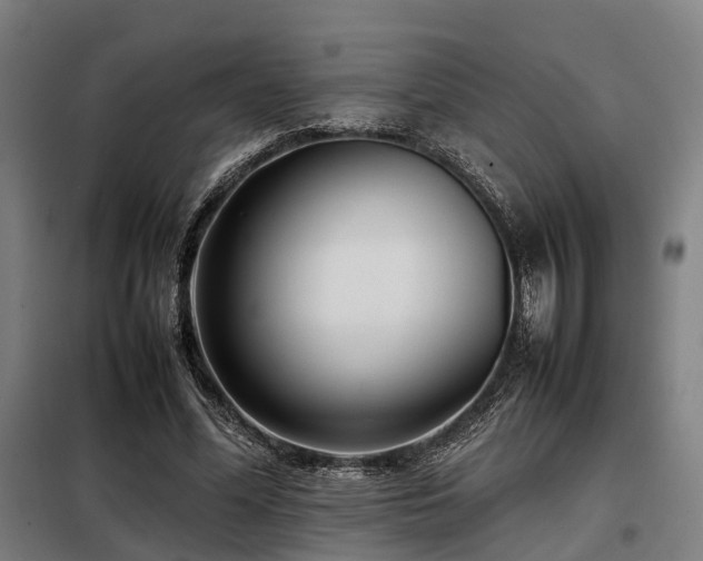X0000098100588200804041246