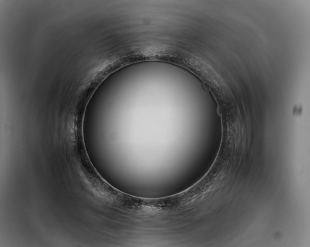 X0000098100592200804041246