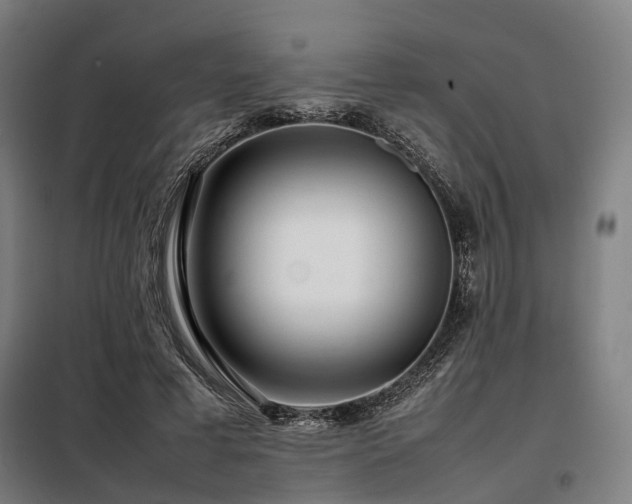 X0000098100593200804041246