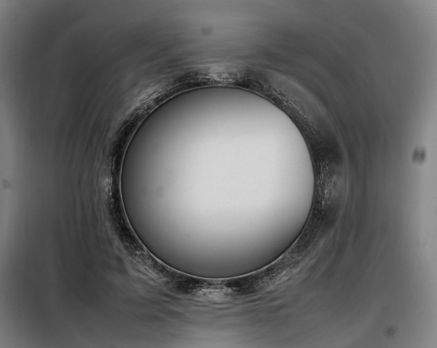 X0000098100595200804041246