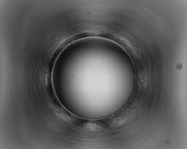 X0000098100596200804041246