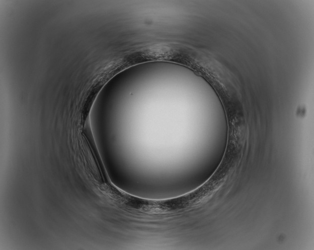 X0000098100597200804041246
