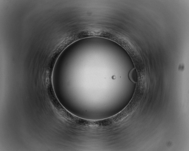 X0000098100598200804041246