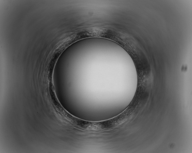 X0000098100599200804041246