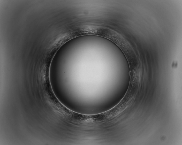 X0000098100600200804041246