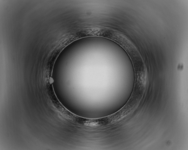 X0000098100602200804041246