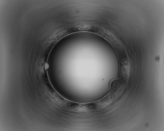 X0000098100604200804041246