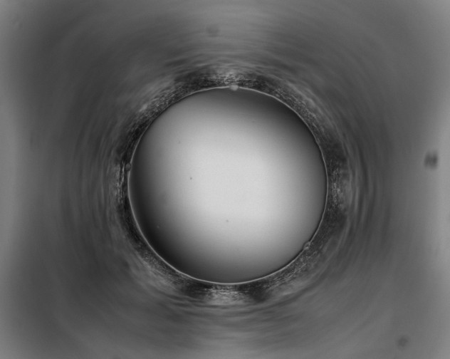 X0000098100605200804041246