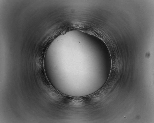 X0000098100606200804041246