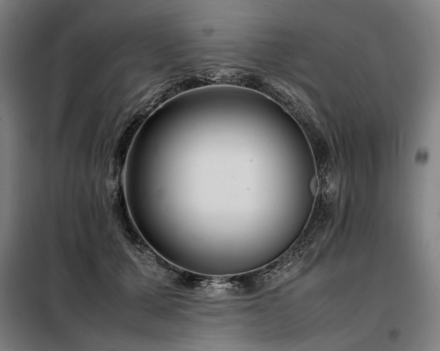 X0000098100607200804041246