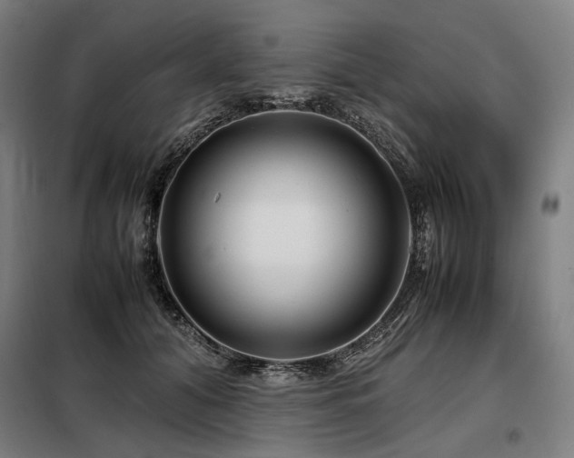 X0000098100608200804041246