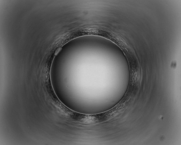 X0000098100609200804041245