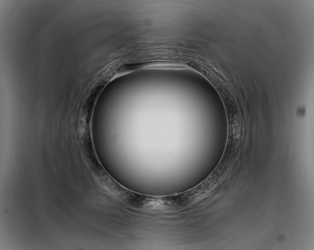 X0000098100611200804041245
