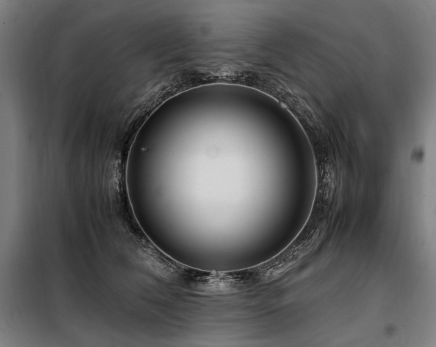 X0000098100612200804041245