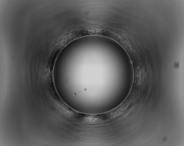 X0000098100614200804041245