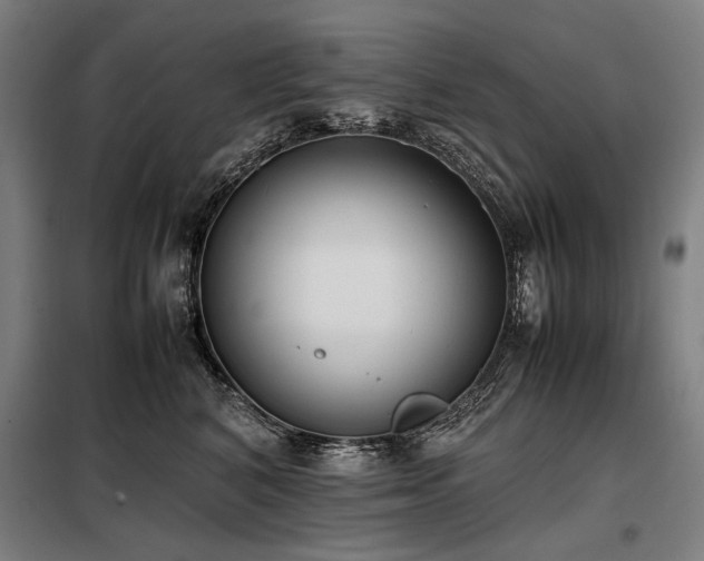 X0000098100616200804041245
