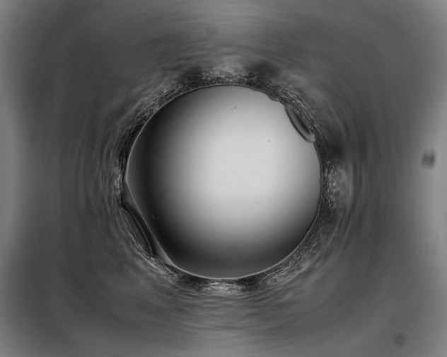 X0000098100617200804041245