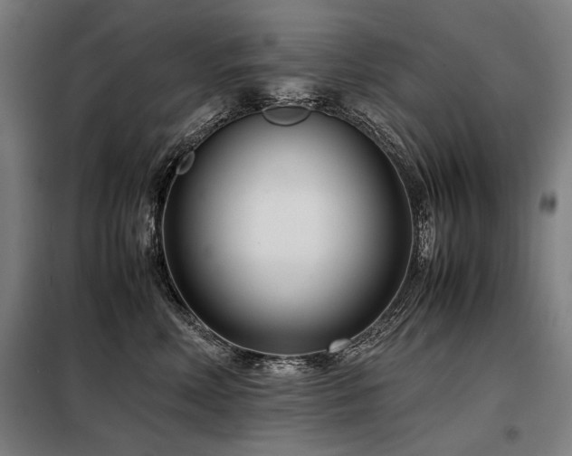 X0000098100618200804041245