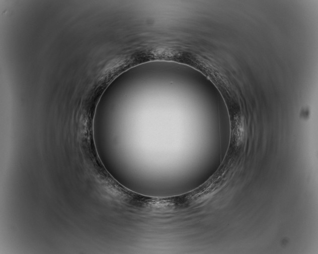 X0000098100619200804041245
