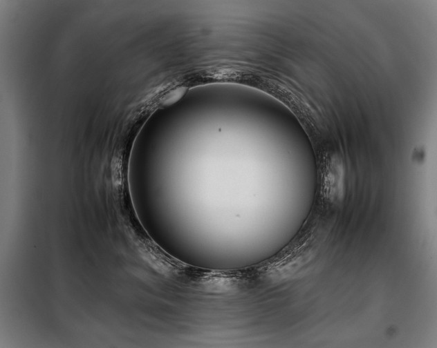 X0000098100620200804041245