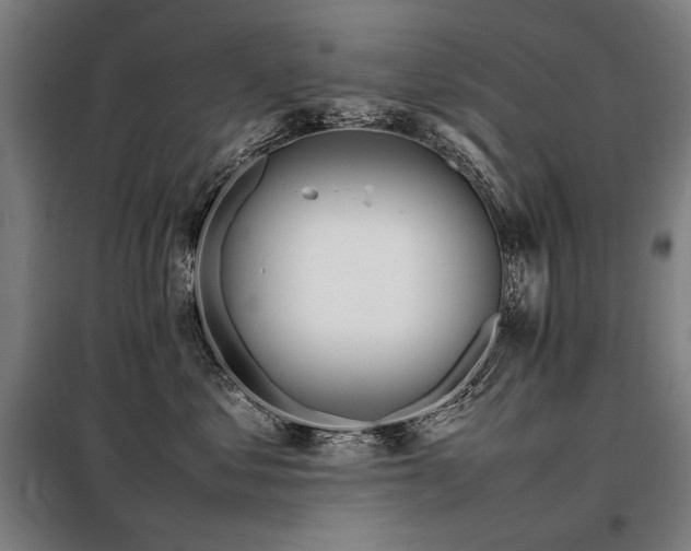 X0000098100621200804041245