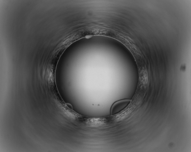X0000098100622200804041245