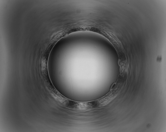 X0000098100623200804041245