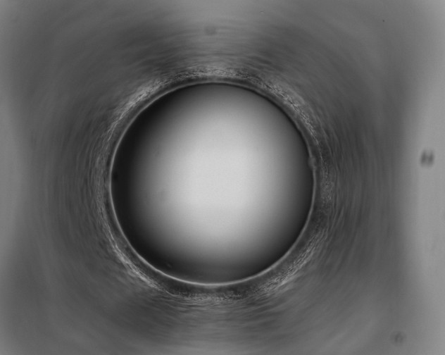 X0000098100625200804041244