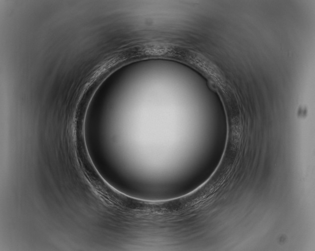 X0000098100626200804041244