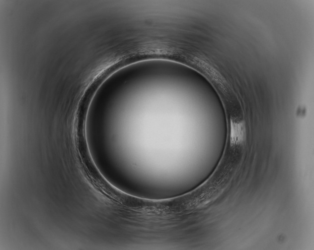 X0000098100627200804041244