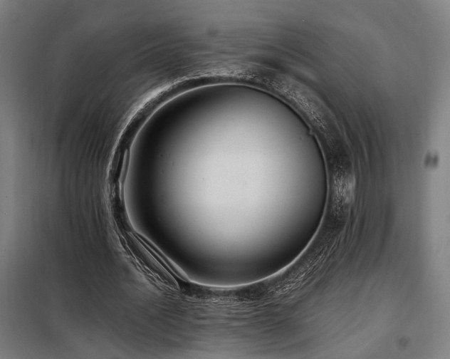 X0000098100628200804041244