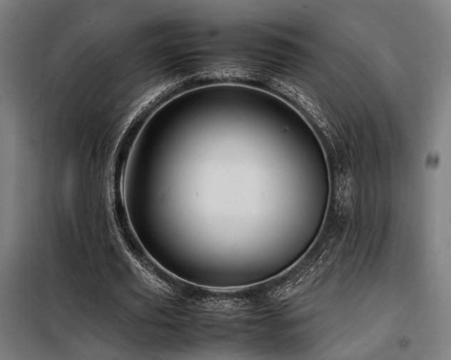 X0000098100629200804041244