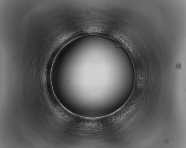 X0000098100631200804041244