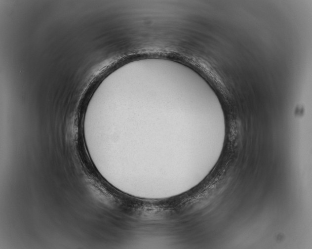 X0000098100632200804041244