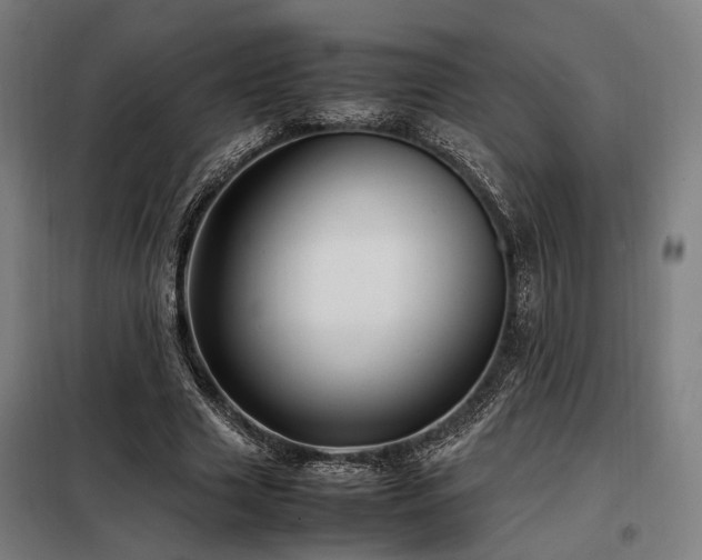 X0000098100633200804041244