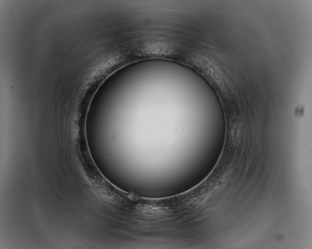 X0000098100635200804041244