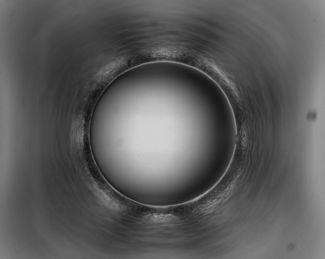 X0000098100637200804041244