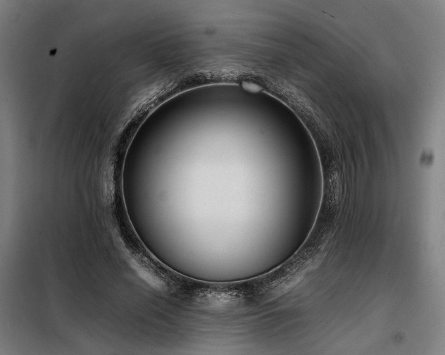 X0000098100638200804041245