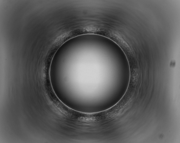 X0000098100639200804041245